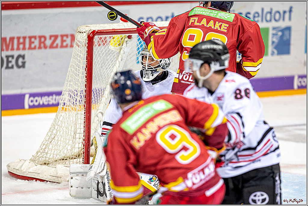 DEL; Duesseldorfer EG - Koelner Haie; Duesseldorf, 29.11.2019